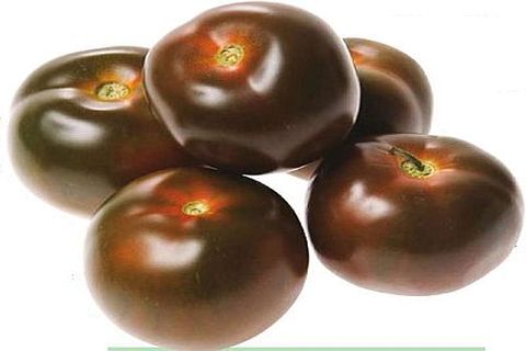 veseli kumato tomāti