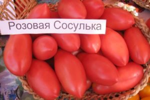 Pomidorų veislės Icicle Pink charakteristikos ir aprašymas