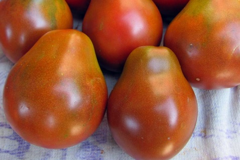 ulkonäkö musta päärynä tomaatit