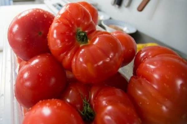 presidentiële tomaat