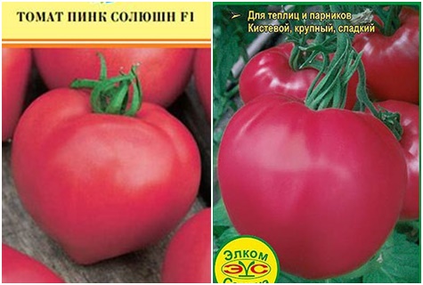 tomaatin siementen vaaleanpunainen ratkaisu