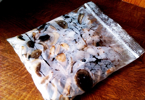 champignons de lait dans un sac