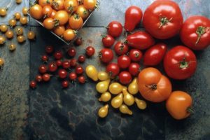 Las mejores variedades de semillas de tomate para campo abierto en la región de Rostov.