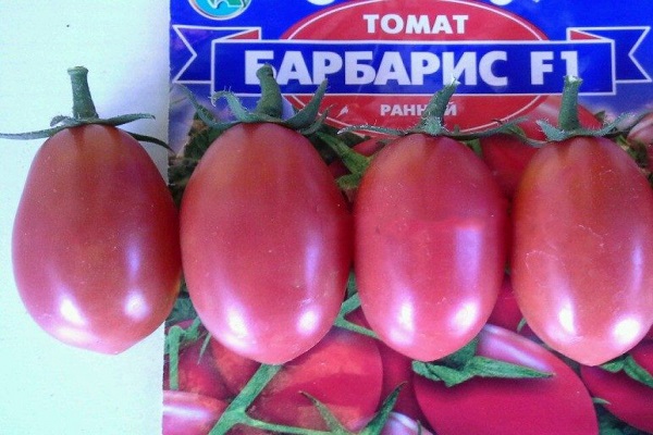Tomaten Berberitze