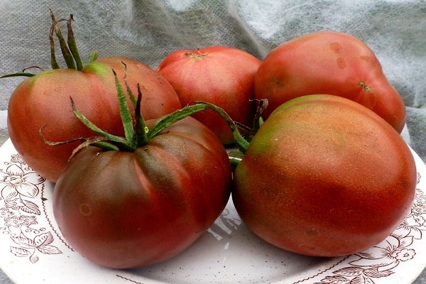 Tomaten-Chernomor