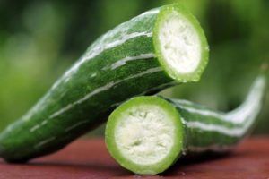 Kenmerken van het kweken van Armeense komkommer, de beschrijving, aanplant en verzorging