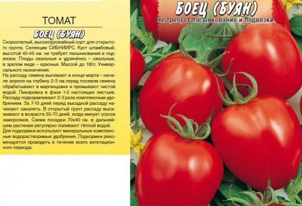 tomatenzaden vechter