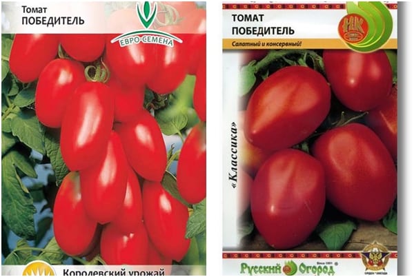 paradajkové semená Víťaz
