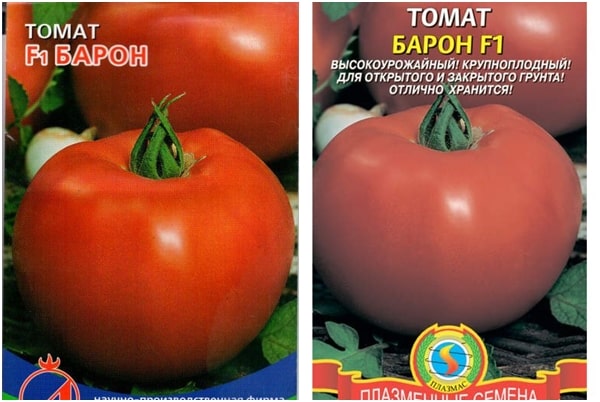barón de semillas de tomate