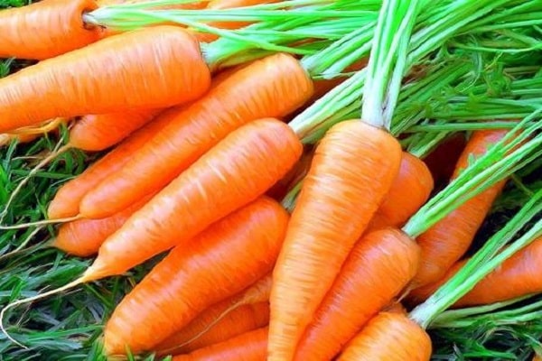 smukke gulerødder