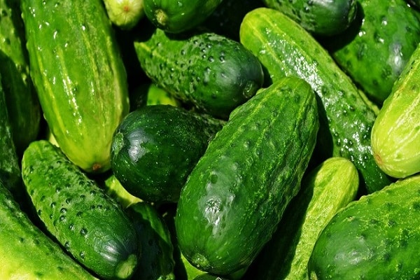 heldere komkommers