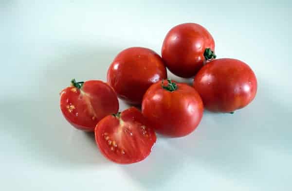 aparición del tomate Eugene