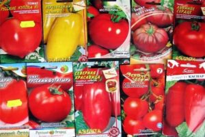 The best varieties of Dutch tomato seeds for greenhouses and open field