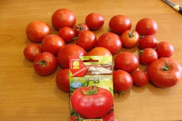 tomato cultivar cultivation