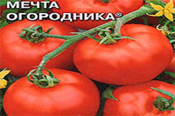 el sueño del jardinero de tomate