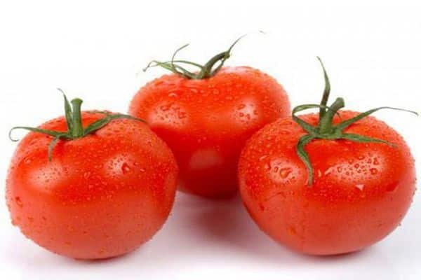 Der Traum eines Tomatengärtners, der sich um ihn kümmert