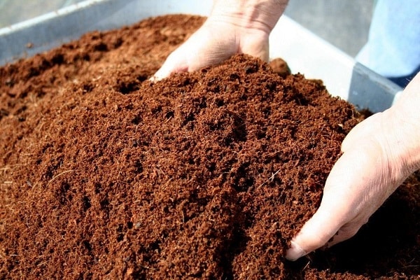 rašelina a kompost