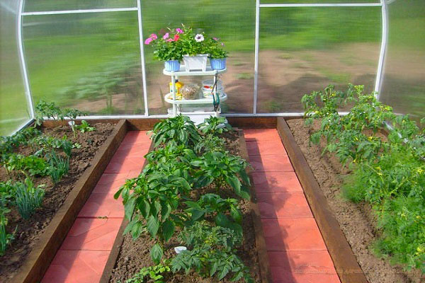 places in the greenhouse