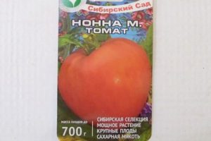 Pomidorų veislės Nonna m aprašymas, derlius ir auginimas