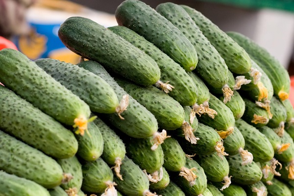 cucumbers Marinda