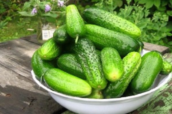cucumbers mother-in-law