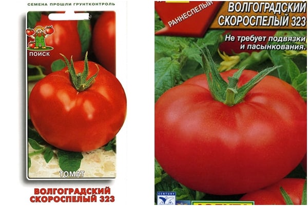 tomato seeds Volgograd early ripening 323