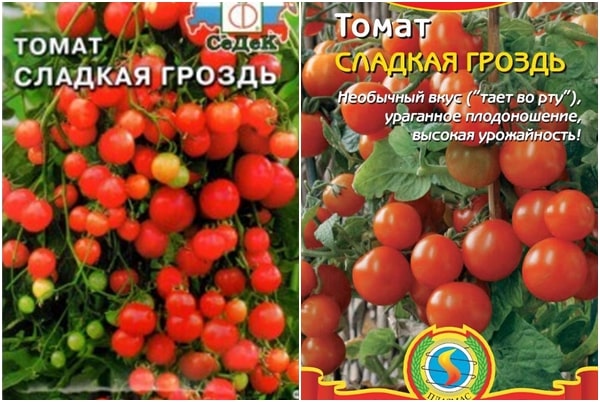 Tomatensamen süßer Bund