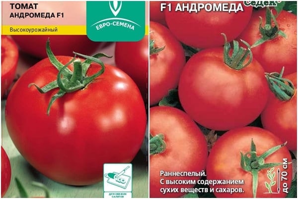 paradajkové semená Andromeda F1