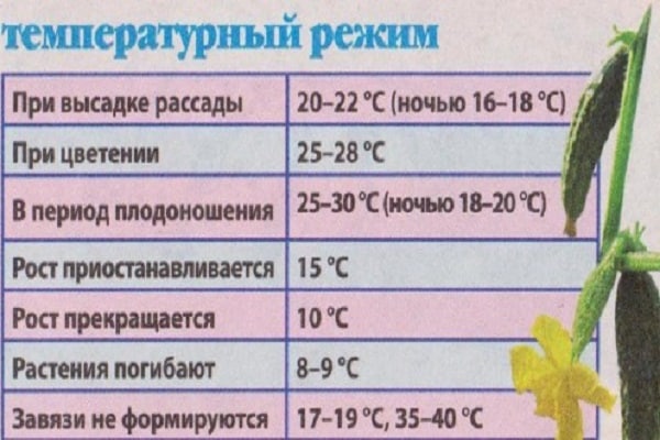 nhiệt độ mặt đất