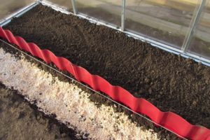 Cách chuẩn bị đất cho dưa chuột trong nhà kính vào mùa xuân trước khi trồng