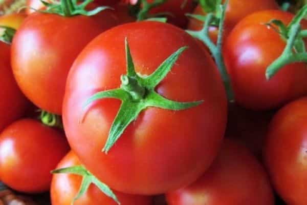 tomaattien makea maku