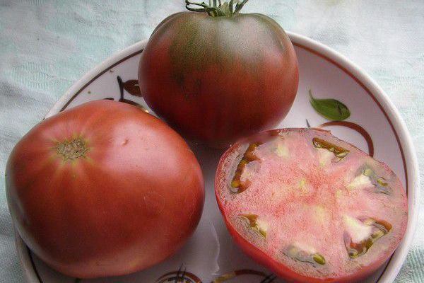 Dojrzałe pomidory