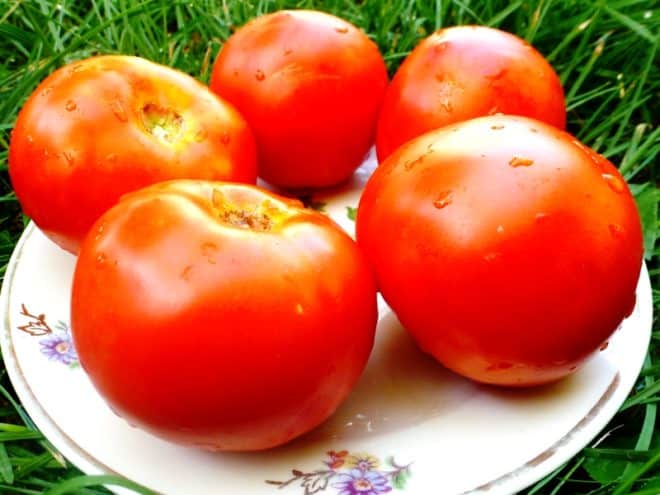 rajče Bílé nalití na talíři