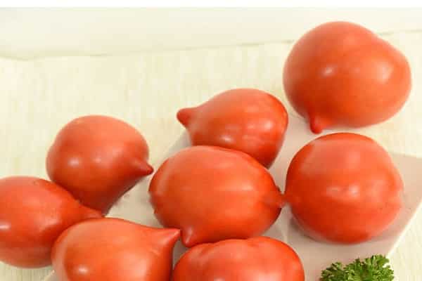 Egenskaber og beskrivelse af tomatsorten Donskoy f1