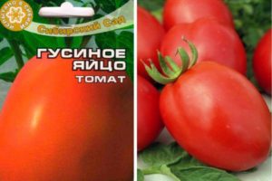 Description of the tomato variety Goose egg and its characteristics