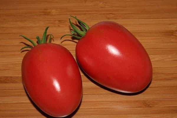 Punaiset tomaatit