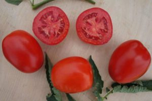 Descripción de la variedad de tomate Indio y sus características