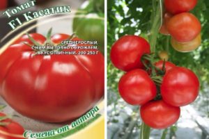 Mô tả về giống cà chua Kasatik và các đặc điểm của việc trồng trọt