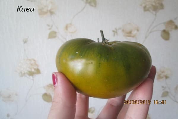 zelena jabuka