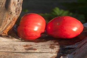 Pomidorų veislės aprašymas Gražiai mėsiškas ir jo savybės