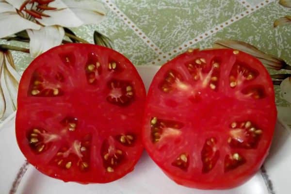 Rezané paradajky