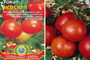Beschrijving van het tomatenras Nevsky, zijn kenmerken en zorg