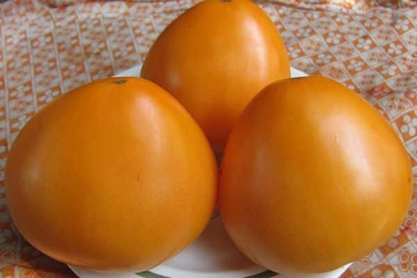 Rajčice na tanjuru