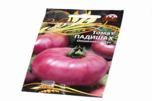 Beschrijving van de variëteit aan tomaat Padishah en zijn kenmerken