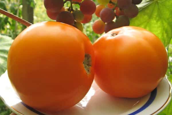 Gele tomaten