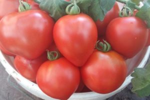 Beschrijving van de tomatenvariëteit Rode suiker en zijn kenmerken