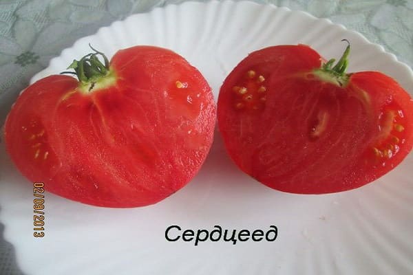mitten av säsongen tomater