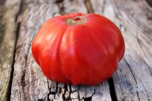Descrizione della varietà di pomodoro Trump siberiano e delle sue caratteristiche