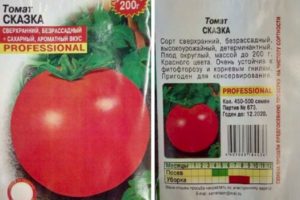 Mô tả về giống cà chua Truyện cổ tích và đặc điểm của nó