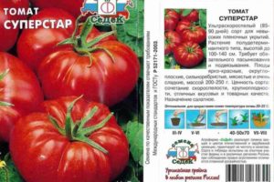 Description of the Superstar tomato variety and its characteristics